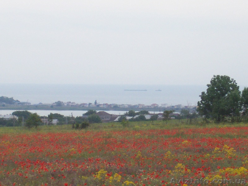 Одесса. Продам земельный участок 20.76 га.  - <ro>Изображение</ro><ru>Изображение</ru> #1, <ru>Объявление</ru> #1842