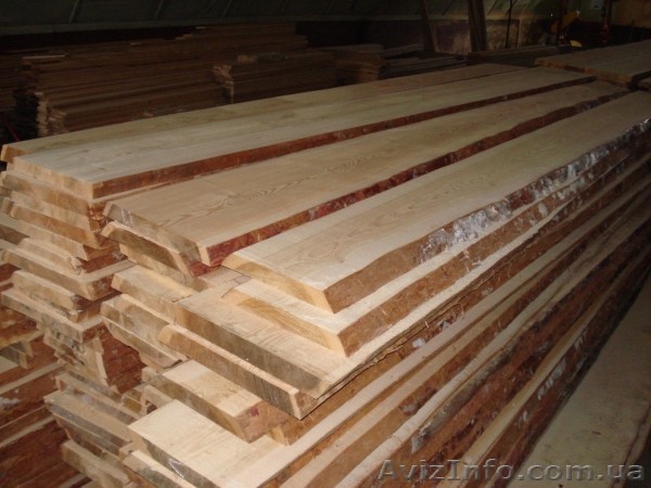 Лиственница сибирская - <ro>Изображение</ro><ru>Изображение</ru> #1, <ru>Объявление</ru> #12731