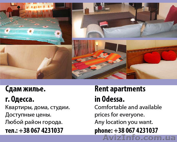 СДАМ ЖИЛЬЕ В ОДЕССЕ. RENT APARTMENTS IN ODESSA. - <ro>Изображение</ro><ru>Изображение</ru> #1, <ru>Объявление</ru> #60198