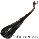 Медвежья желчь - природное лекарство от тяжёлых болезней - <ro>Изображение</ro><ru>Изображение</ru> #1, <ru>Объявление</ru> #155163