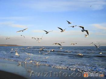 Срочно! Новое предложение! Костанди - <ro>Изображение</ro><ru>Изображение</ru> #1, <ru>Объявление</ru> #166587