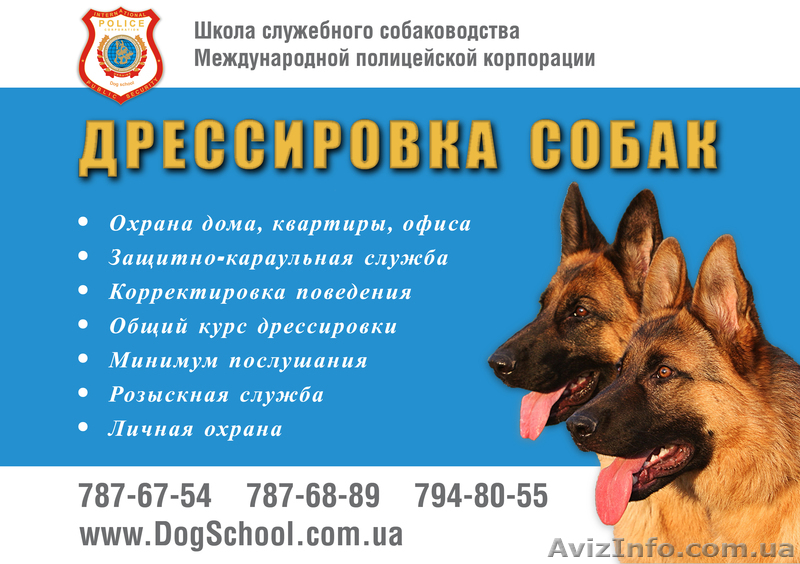 Дрессировка собак Одесса - <ro>Изображение</ro><ru>Изображение</ru> #1, <ru>Объявление</ru> #247502