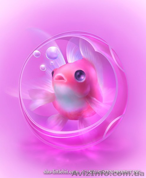 ЧИСТКА ИЗГОТОВЛЕНИЕ АКВАРИУМОВ  - <ro>Изображение</ro><ru>Изображение</ru> #1, <ru>Объявление</ru> #229887