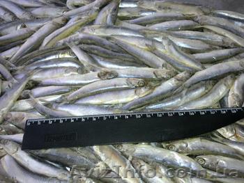 Рыбная продукция - <ro>Изображение</ro><ru>Изображение</ru> #1, <ru>Объявление</ru> #264029