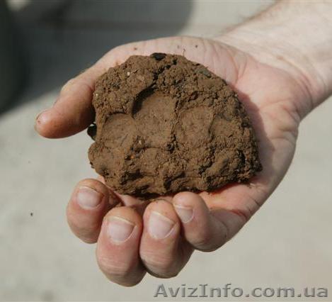 Продажа глины, купить глину цена Одесса - <ro>Изображение</ro><ru>Изображение</ru> #1, <ru>Объявление</ru> #281944