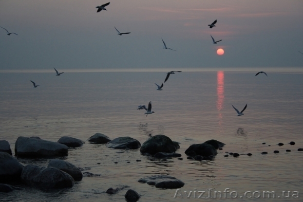 Продаю участок на 16 ст. Б.Фонтана - <ro>Изображение</ro><ru>Изображение</ru> #1, <ru>Объявление</ru> #280427