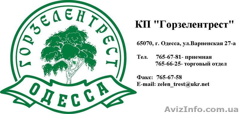 Работы по благоустройству и озеленению территории, КП Горзелентрест - <ro>Изображение</ro><ru>Изображение</ru> #1, <ru>Объявление</ru> #334419