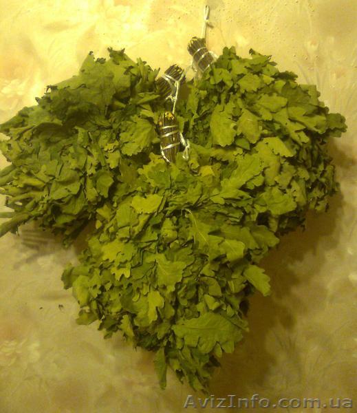 Дубовые веники для бани  - <ro>Изображение</ro><ru>Изображение</ru> #1, <ru>Объявление</ru> #360432