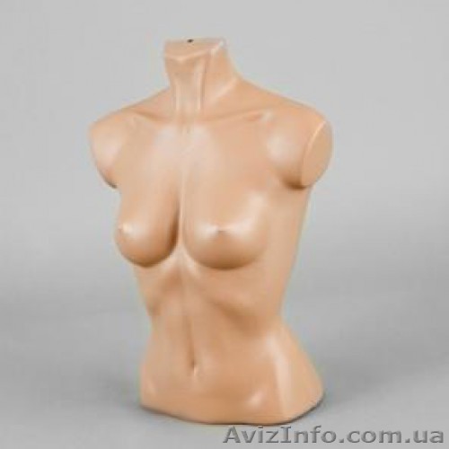 Продам женские манекены(торс) б/у  - <ro>Изображение</ro><ru>Изображение</ru> #1, <ru>Объявление</ru> #383673