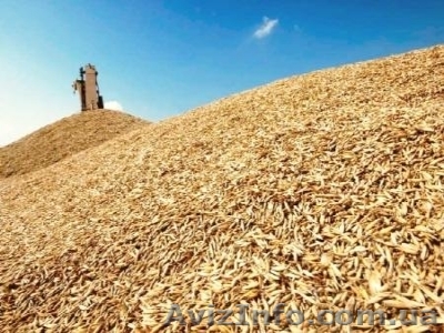 требуется  грузовые автомобили для перевозки сельхоз продукции  - <ro>Изображение</ro><ru>Изображение</ru> #1, <ru>Объявление</ru> #413129