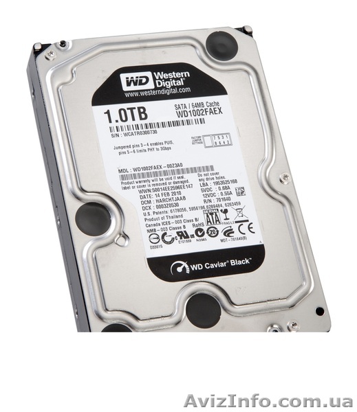 Накопители WD 1002 FAEX Caviar Black - <ro>Изображение</ro><ru>Изображение</ru> #1, <ru>Объявление</ru> #453178