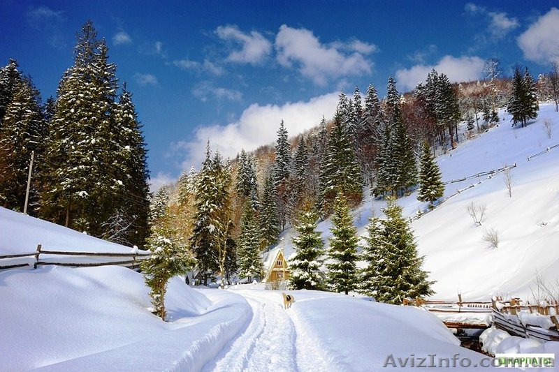 Рождество 2012 в Буковинских Карпатах из Одессы!!! - <ro>Изображение</ro><ru>Изображение</ru> #1, <ru>Объявление</ru> #463128