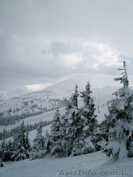 Драгобрат - снежный рай! - <ro>Изображение</ro><ru>Изображение</ru> #1, <ru>Объявление</ru> #470306