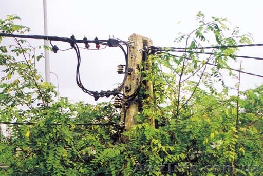 Самонесущий изолированный провод СИП, САПт, ASxSn - <ro>Изображение</ro><ru>Изображение</ru> #1, <ru>Объявление</ru> #492098