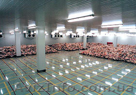 Реконструкция подвала в овощехранилище или  холодильник морозильные камеры - <ro>Изображение</ro><ru>Изображение</ru> #1, <ru>Объявление</ru> #495832