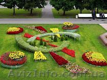 Курсы Ландшафтного дизайна. Скидки до 20%. Звоните! т. 795-88-16;  722-61-16; 09 - <ro>Изображение</ro><ru>Изображение</ru> #1, <ru>Объявление</ru> #550834