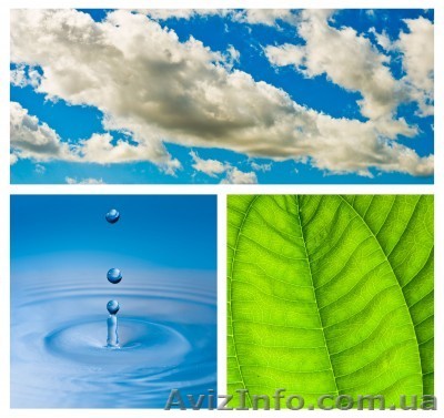 Семинар на тему «Очистись и живи без паразитов» - <ro>Изображение</ro><ru>Изображение</ru> #1, <ru>Объявление</ru> #555560