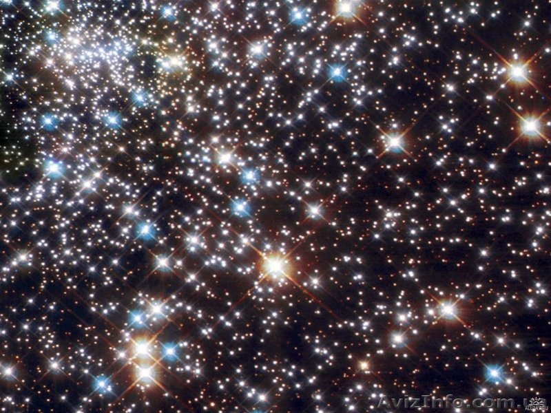 Надежда 097 980 74 90 - <ro>Изображение</ro><ru>Изображение</ru> #1, <ru>Объявление</ru> #598805