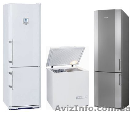 Холодильники Liebherr? FORINA - <ro>Изображение</ro><ru>Изображение</ru> #1, <ru>Объявление</ru> #589930