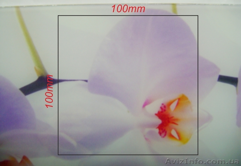 Полноцветная печать на любой ровной поверхности  - <ro>Изображение</ro><ru>Изображение</ru> #1, <ru>Объявление</ru> #634966
