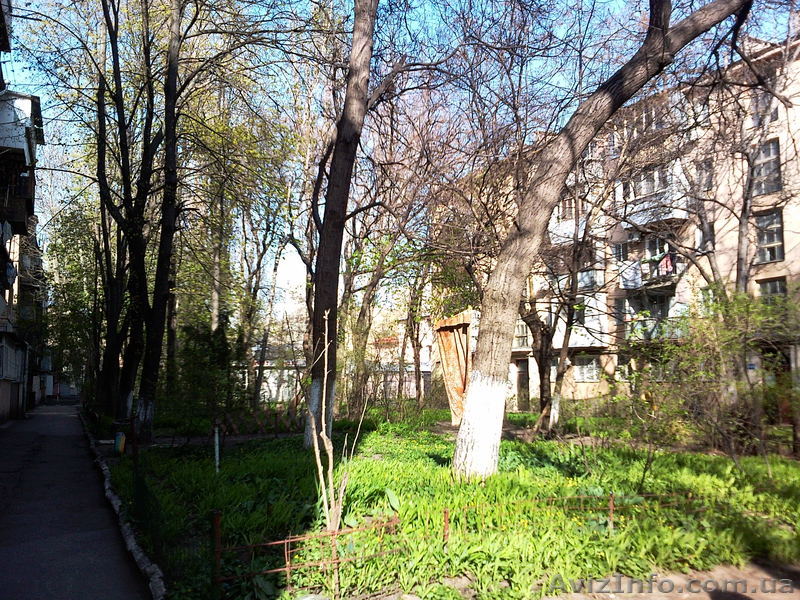 2х комн. Шевченко пр./Армейская ул. - <ro>Изображение</ro><ru>Изображение</ru> #1, <ru>Объявление</ru> #632942