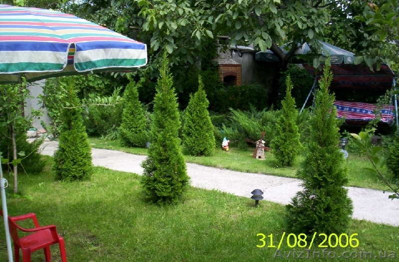 Cдам посуточно!!! Квартиры!!! - <ro>Изображение</ro><ru>Изображение</ru> #1, <ru>Объявление</ru> #664208