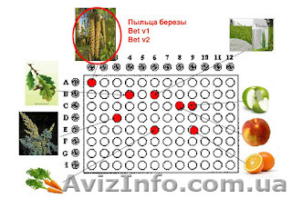 Теперь одесские аллергологи больше не разводят руками! - <ro>Изображение</ro><ru>Изображение</ru> #1, <ru>Объявление</ru> #659021