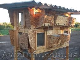 Клетки для кроликов - <ro>Изображение</ro><ru>Изображение</ru> #1, <ru>Объявление</ru> #645981