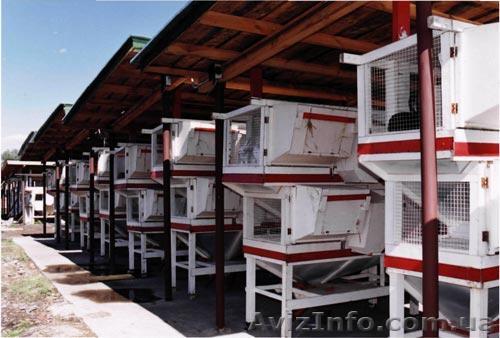 Чертежи минифермы Михайлова - <ro>Изображение</ro><ru>Изображение</ru> #1, <ru>Объявление</ru> #645991