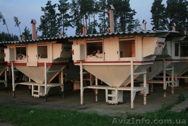 Продам Чертежи миниферм 23 модели, Михайлова  - <ro>Изображение</ro><ru>Изображение</ru> #1, <ru>Объявление</ru> #645996