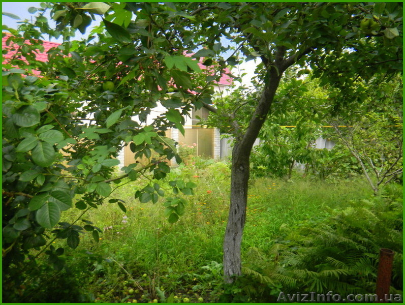 Участок 6,5 соток на  ул.Ромашковой  - <ro>Изображение</ro><ru>Изображение</ru> #1, <ru>Объявление</ru> #743149