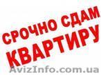 Сдам 1 комн. квартиру Королева/Левитана - <ro>Изображение</ro><ru>Изображение</ru> #1, <ru>Объявление</ru> #739844