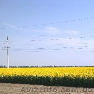 Продам агрофирму в Одесской области - <ro>Изображение</ro><ru>Изображение</ru> #1, <ru>Объявление</ru> #756673