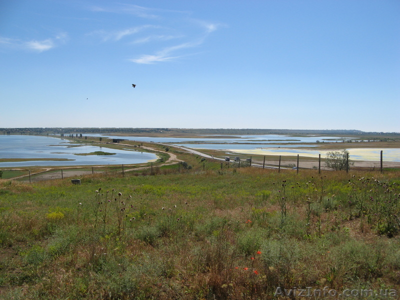 Вы планируете открыть бизнесс?! 60 м фасад на трассу Одесса-Николаев, 2 км от Ко - <ro>Изображение</ro><ru>Изображение</ru> #1, <ru>Объявление</ru> #758095