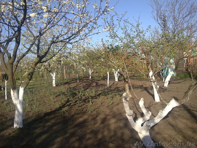 Продам участок недалеко от моря - <ro>Изображение</ro><ru>Изображение</ru> #1, <ru>Объявление</ru> #769541