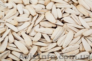 Семечки белые (турецкие) - <ro>Изображение</ro><ru>Изображение</ru> #1, <ru>Объявление</ru> #772372