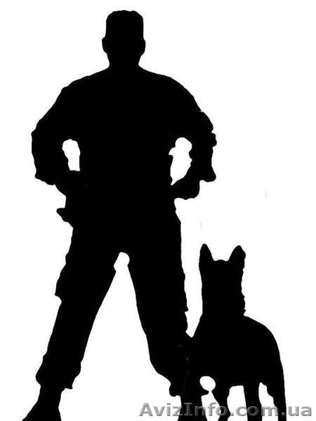 Дрессировка собак, Дрессировка собак одесса , Дрессировка собак в Одессе цена,   - <ro>Изображение</ro><ru>Изображение</ru> #1, <ru>Объявление</ru> #790265