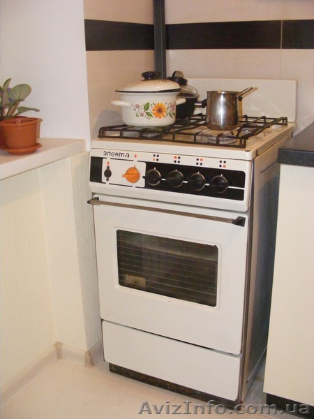 Продам газовую печку Электа б/у - <ro>Изображение</ro><ru>Изображение</ru> #1, <ru>Объявление</ru> #817136
