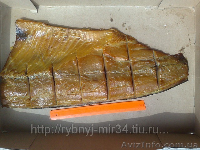 Толстолобик Пласт Х/К 45 грн. - <ro>Изображение</ro><ru>Изображение</ru> #1, <ru>Объявление</ru> #821181