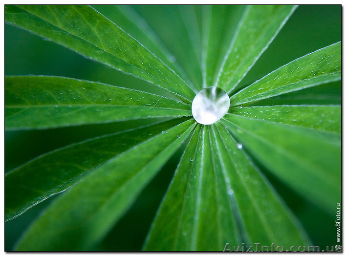 Требуются менеджеры по персоналу - <ro>Изображение</ro><ru>Изображение</ru> #1, <ru>Объявление</ru> #826727