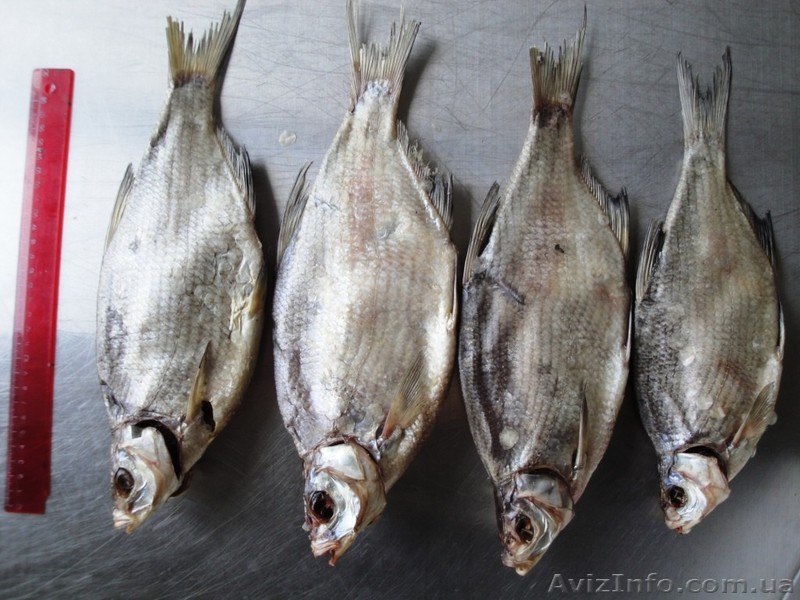 Лещ вяленый 24 грн - <ro>Изображение</ro><ru>Изображение</ru> #1, <ru>Объявление</ru> #821179