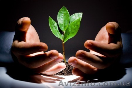 Компания реализует в широком ассортименте СЗР - <ro>Изображение</ro><ru>Изображение</ru> #1, <ru>Объявление</ru> #841041