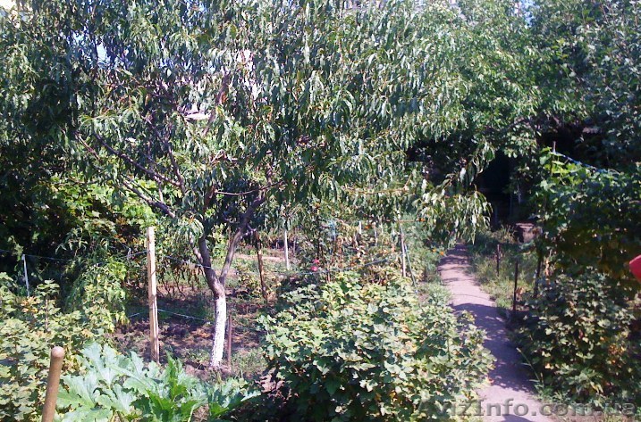 Продам участок правильной формы на ул. Писарева - <ro>Изображение</ro><ru>Изображение</ru> #1, <ru>Объявление</ru> #883576