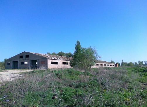 продам ферму 1400 кв.м для разведения - <ro>Изображение</ro><ru>Изображение</ru> #1, <ru>Объявление</ru> #876211