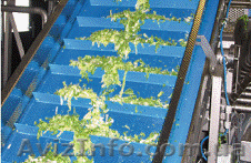 Сетчатые конвейерные ленты из полиэстера - <ro>Изображение</ro><ru>Изображение</ru> #1, <ru>Объявление</ru> #892834