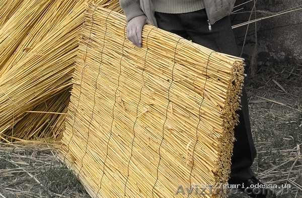 Продам камышовые маты - <ro>Изображение</ro><ru>Изображение</ru> #1, <ru>Объявление</ru> #883507