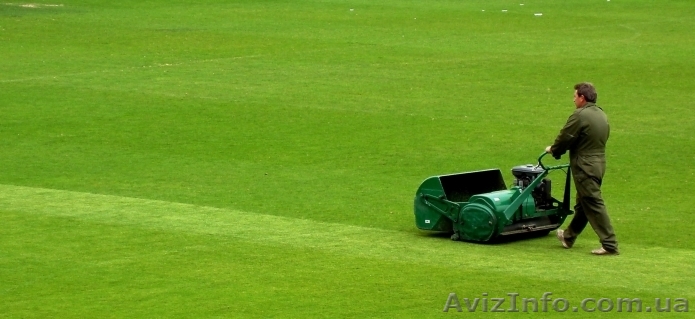 Рулонный газон. Системы полива. Озеленение. - <ro>Изображение</ro><ru>Изображение</ru> #1, <ru>Объявление</ru> #906006