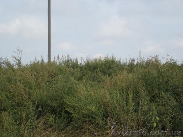 Продам участок 8 соток в пгт. Коминтерновское, ул. Аграрная - <ro>Изображение</ro><ru>Изображение</ru> #1, <ru>Объявление</ru> #920907