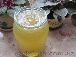 Продам мед со своей пасеки - <ro>Изображение</ro><ru>Изображение</ru> #1, <ru>Объявление</ru> #909215