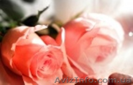 Двухкомнатная квартира на Черемушках - <ro>Изображение</ro><ru>Изображение</ru> #1, <ru>Объявление</ru> #924948